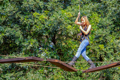 Skyway Trails