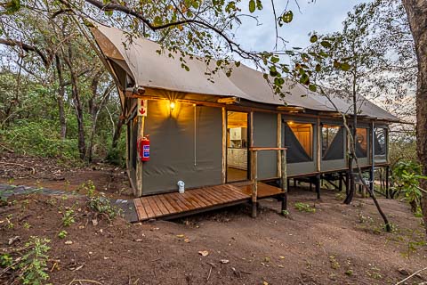 Tranquil Nest - Glamping Tents