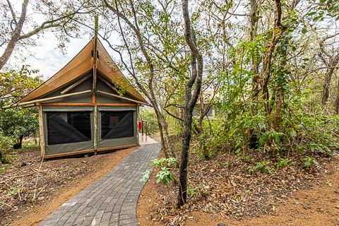 Tranquil Nest - Glamping Tents