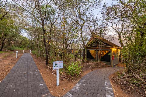 Tranquil Nest - Glamping Tents